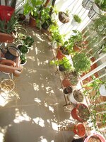 Balcony 1