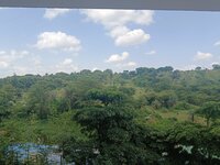 Balcony 1