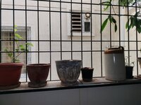Balcony 1