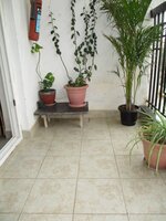Balcony 1