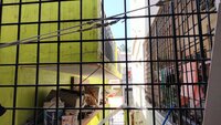 Balcony 1