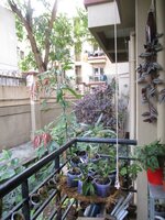Balcony 1
