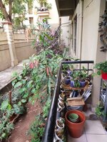 Garden 1