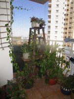 Balcony 1