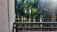 Balcony 2