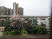 Balcony 2