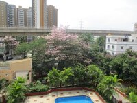 Balcony 1