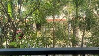 Balcony 4