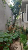 Garden 1