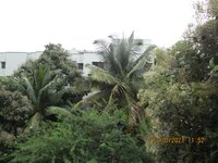 Balcony 3