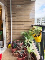 Balcony 1