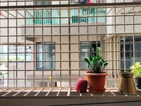 Balcony 1