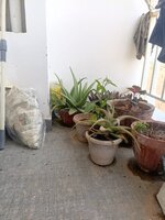 Balcony 1
