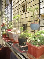 Balcony 1