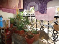 Balcony 1