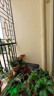 Balcony 3