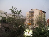 Balcony 1