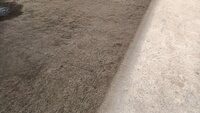 parkings 1