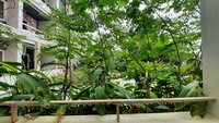 Balcony 1