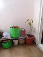 Balcony 1