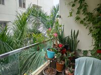 Balcony 1