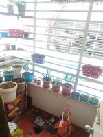 Balcony 1