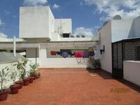 Terrace 1