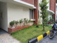 Garden 1