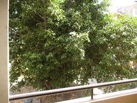Balcony 2