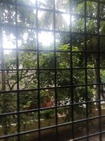 Balcony 1