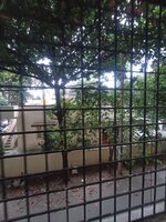 Balcony 2