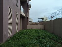 Garden 1