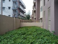 Garden 1
