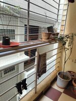 Balcony 1