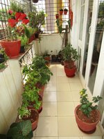 Balcony 1