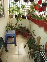 Balcony 3