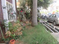 Garden 1