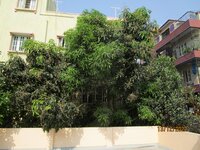 gardens 1