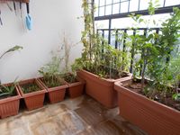 Balcony 1