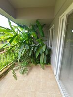 Balcony 1