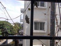 Balcony 1