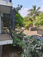 Garden 1