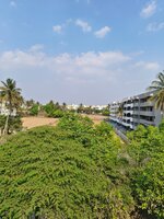 Terrace 1