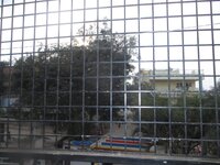 Balcony 2