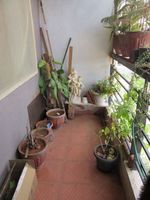 Balcony 1