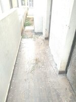 Garden 1