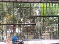 Balcony 1