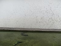 Balcony 2