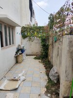 Back Yard 1