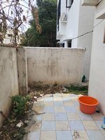 Back Yard 1